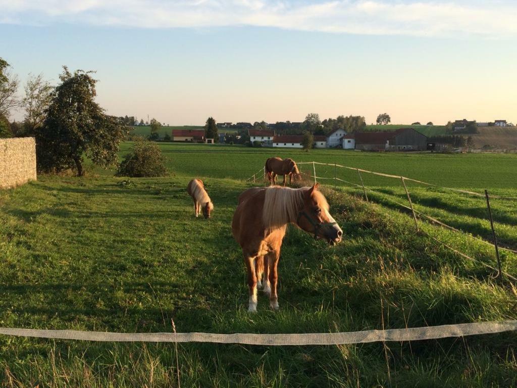 Ferienhof Löw Salzweg Exterior foto
