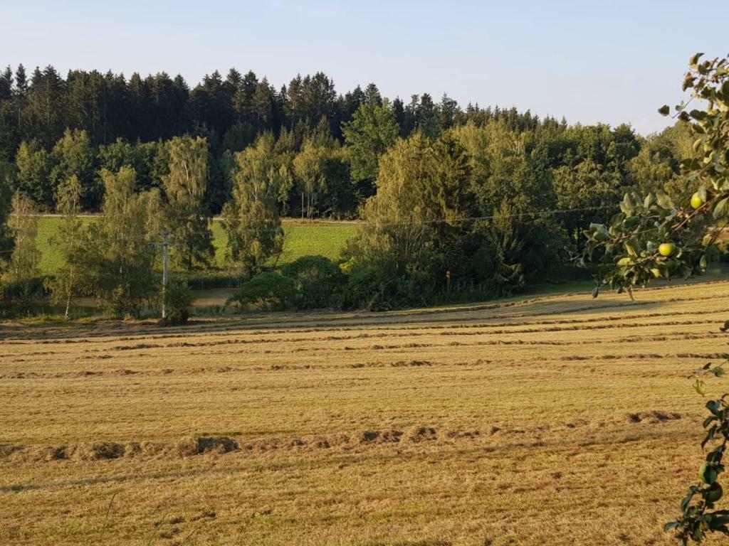 Ferienhof Löw Salzweg Exterior foto