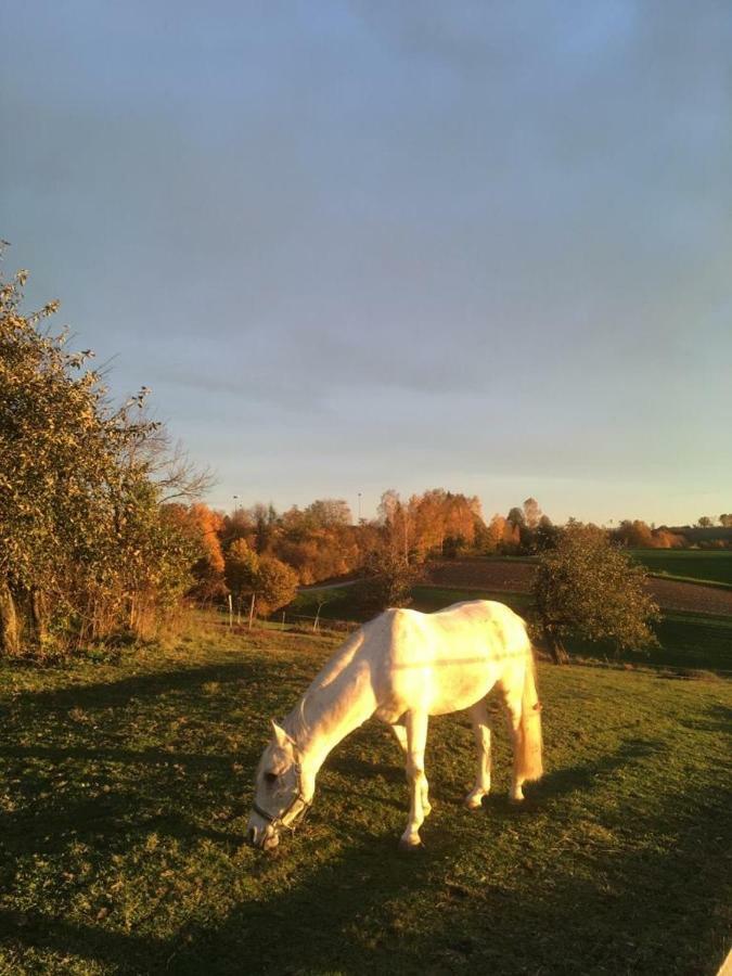 Ferienhof Löw Salzweg Exterior foto
